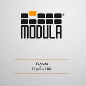 MODULA - ỨNG DỤNG THAM KHẢO: DIGBITS
